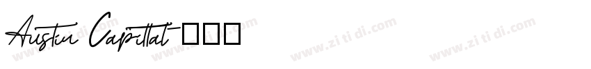 Austin Capittal字体转换
